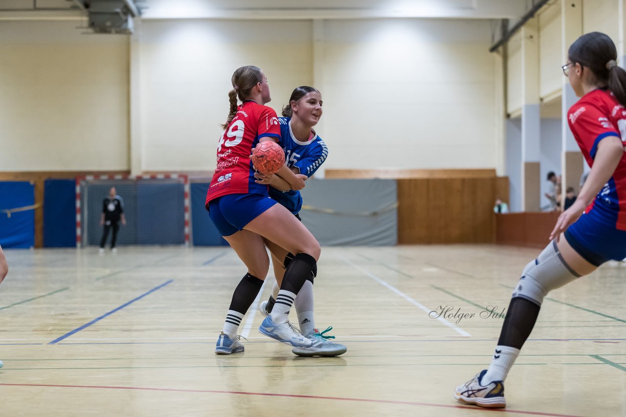 Bild 137 - wBJ TSV Ellerau - HSG Schue/We/Re : Ergebnis: 23:15